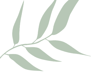 175e71bb-ddbf-4997-9717-3599868b57b6